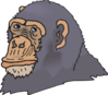 Gray Chimp Head Clip Art